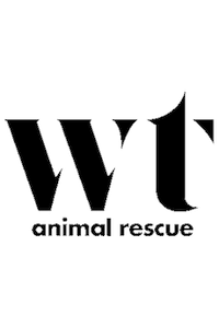 Wolf Trap Animal Rescue